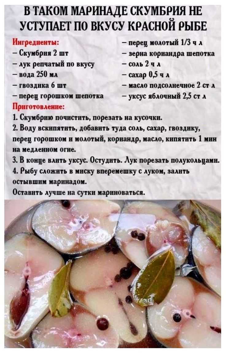 Как солить скумбрию в домашних условиях: быстро за 2 часа, без рассола, в рассоле, с маслом (рецепты с фото)