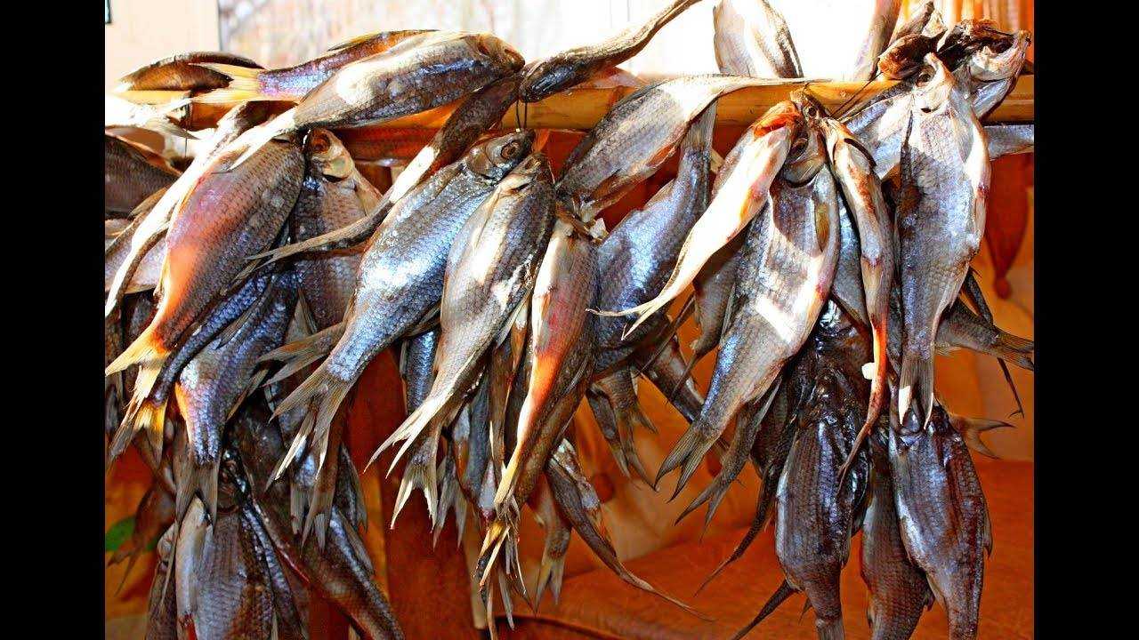 Как правильно завялить рыбу в домашних условиях, как засолить