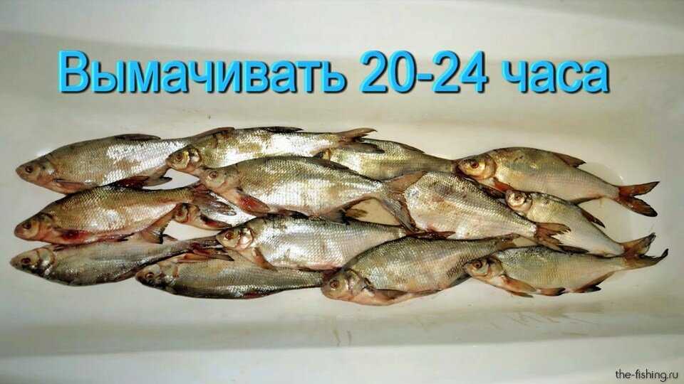 Сколько времени нужно солить леща для сушки