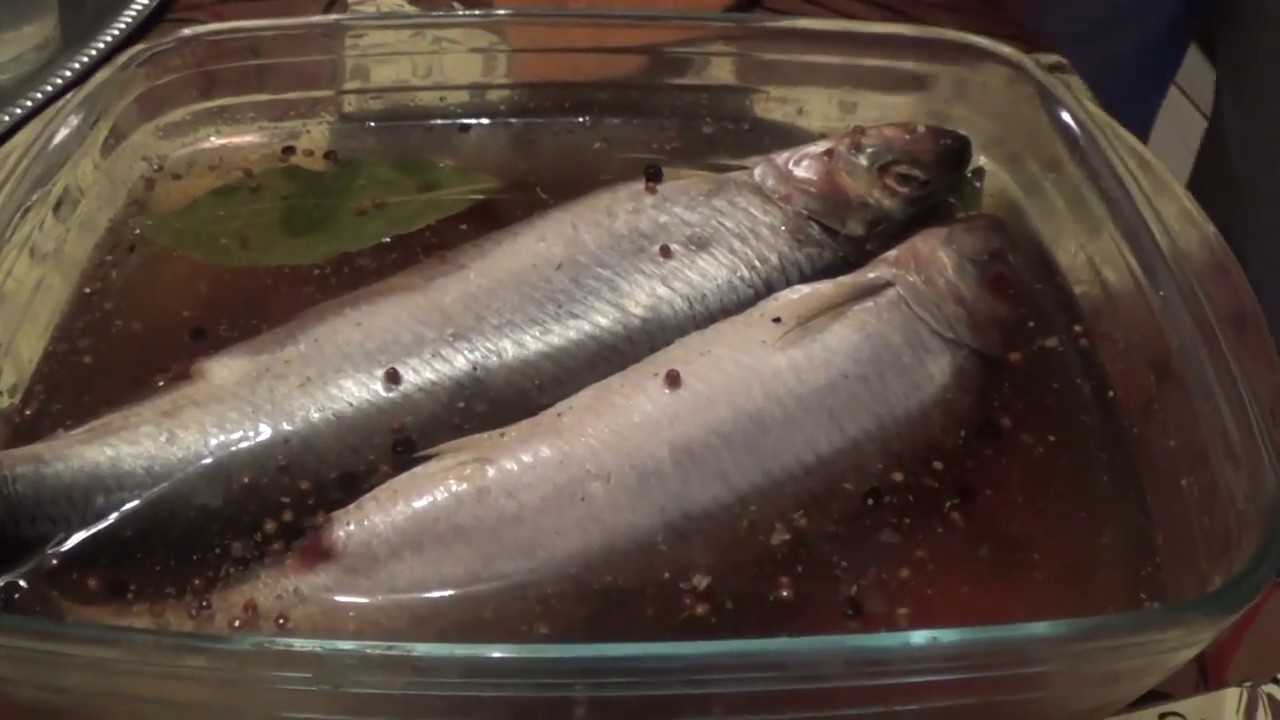 Как вкусно приготовить рыбу сырок? 5 рецептов пеляди в домашних условиях