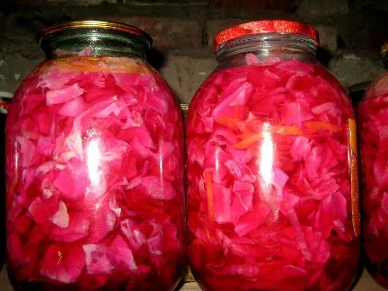 Салат из свеклы на зиму «пальчики оближешь»- очень вкусные и простые рецепты