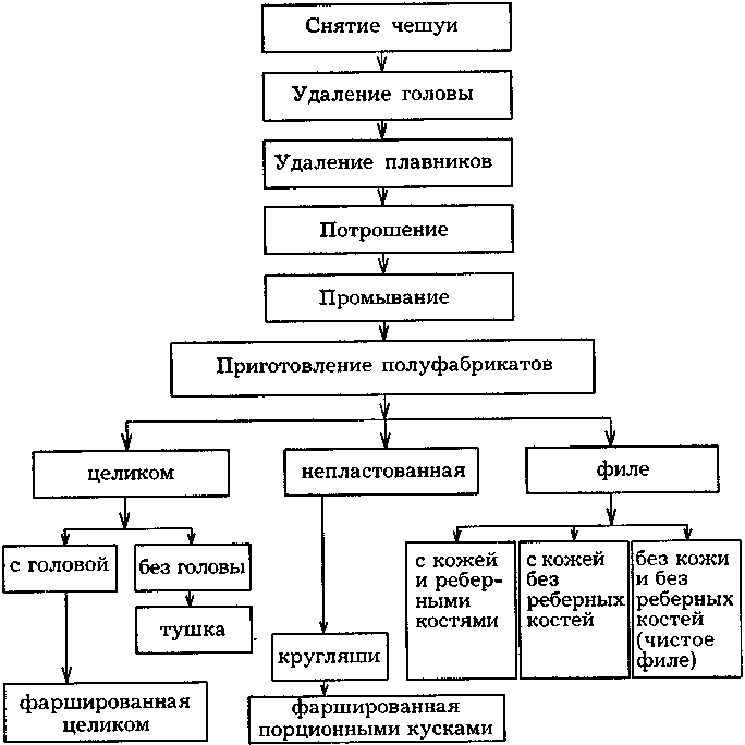 Первичная обработка рыбы: лучшие способы разделки и подготовки