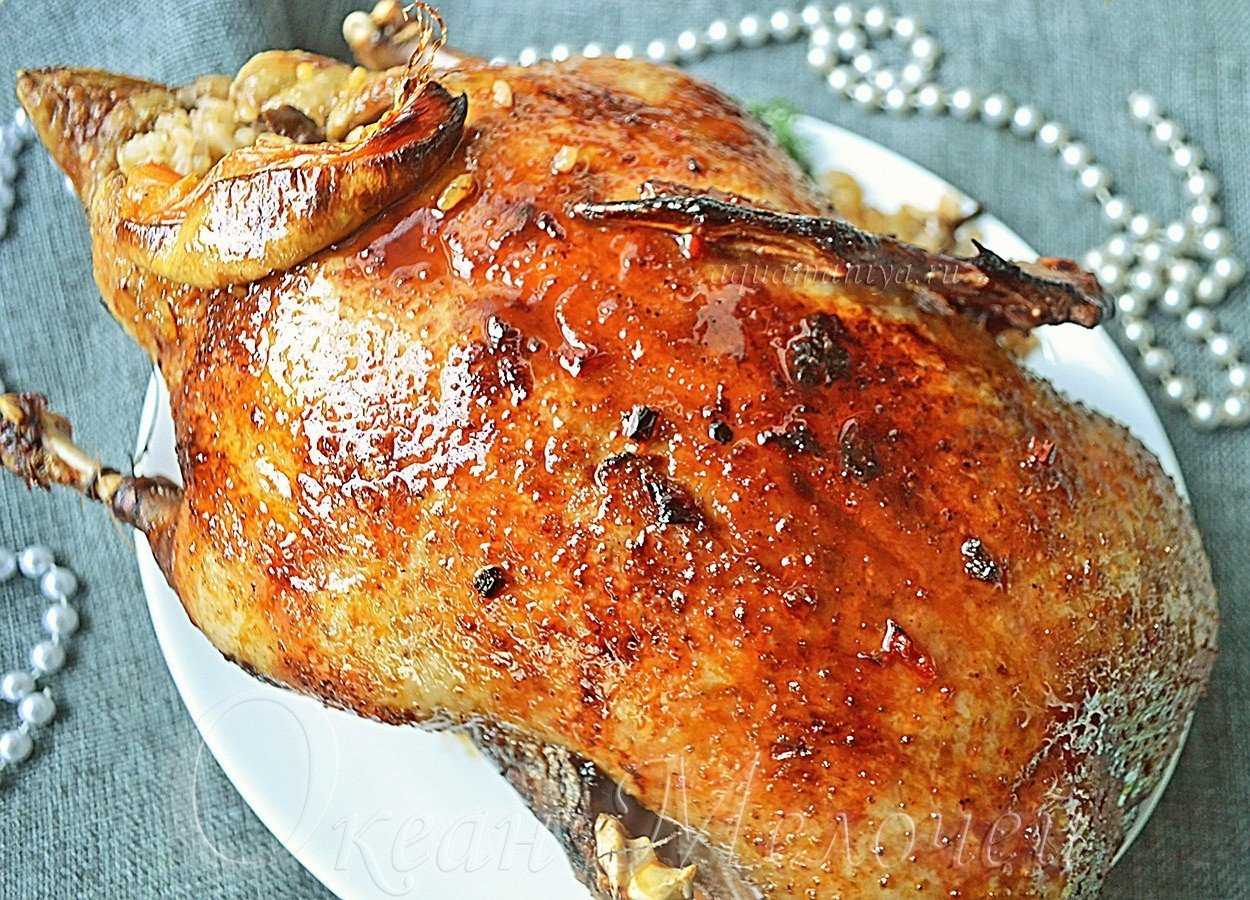 Гусь запечённый с яблоками в духовке. 6 вкусных рецептов в рукаве