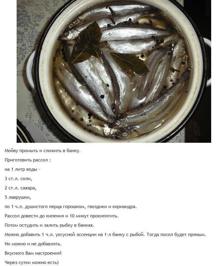 Засолка иваси в домашних условиях, рецепт ⋆ народный целитель