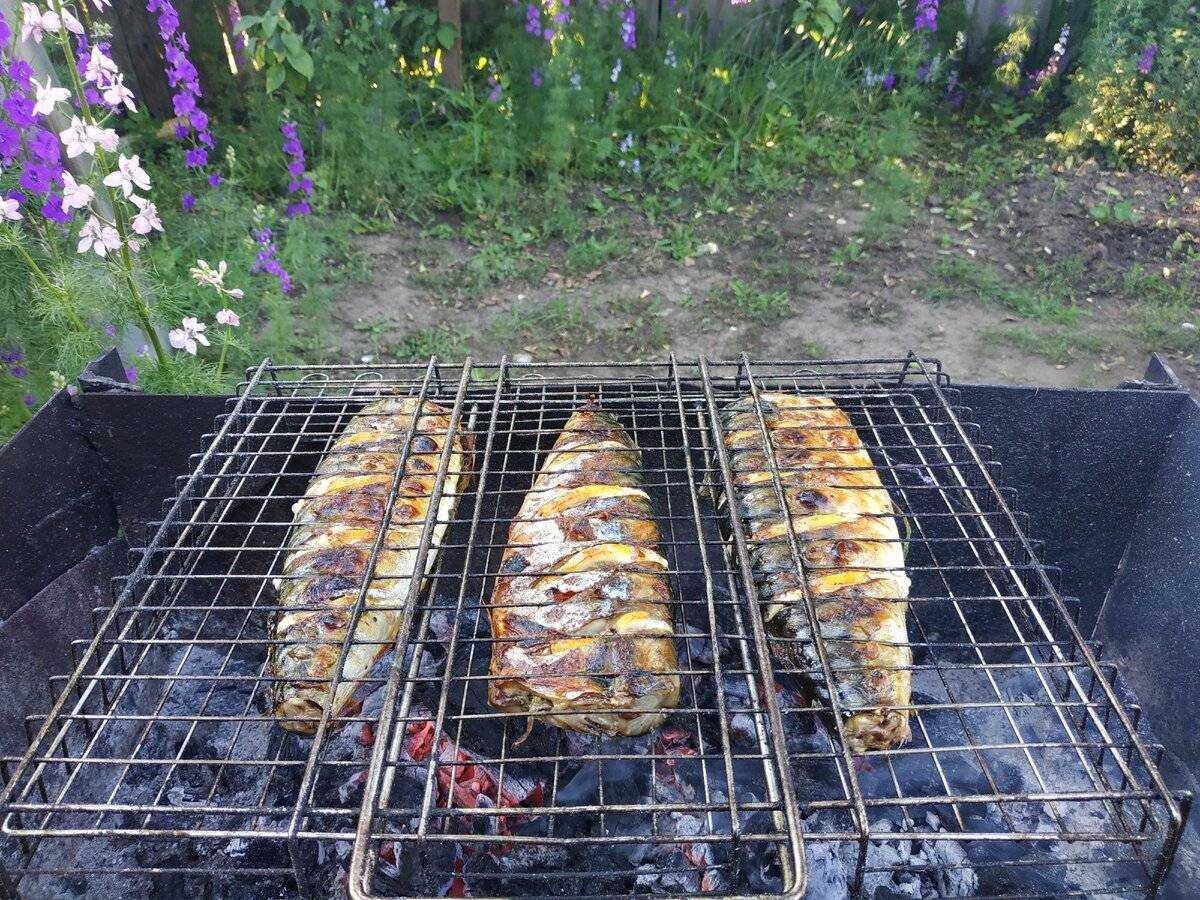Шашлык из щуки (на мангале, углях, костре и решетке) — рецепты, как приготовить