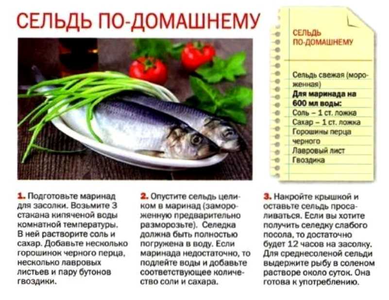 Как засолить селёдку быстро. пошаговые фото рецепты, соления сельди в домашних условиях