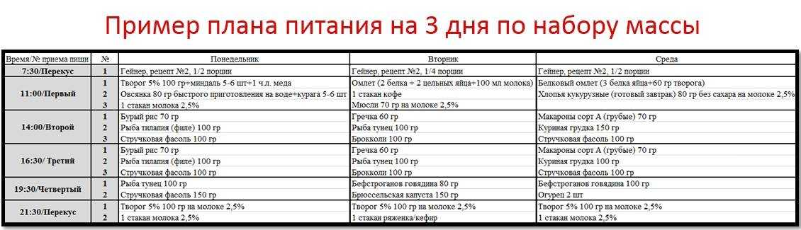 Питание на массу. программа (диета) набора мышечной массы