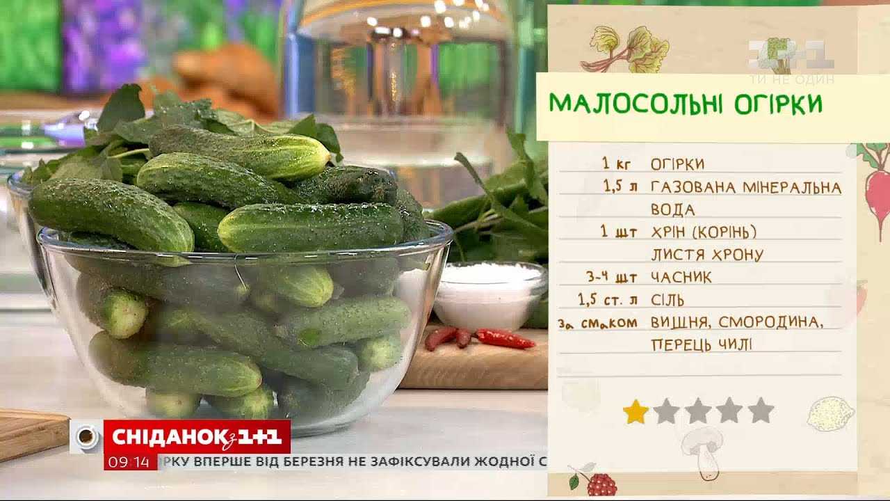 Малосольные огурцы с чесноком и зеленью быстрого приготовления — 6 классических рецептов