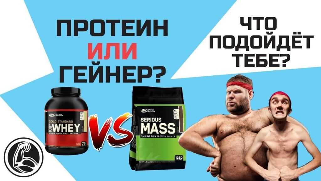 Что такое гейнер: состав, как правильно принимать для набора массы, рейтинг и отзывы