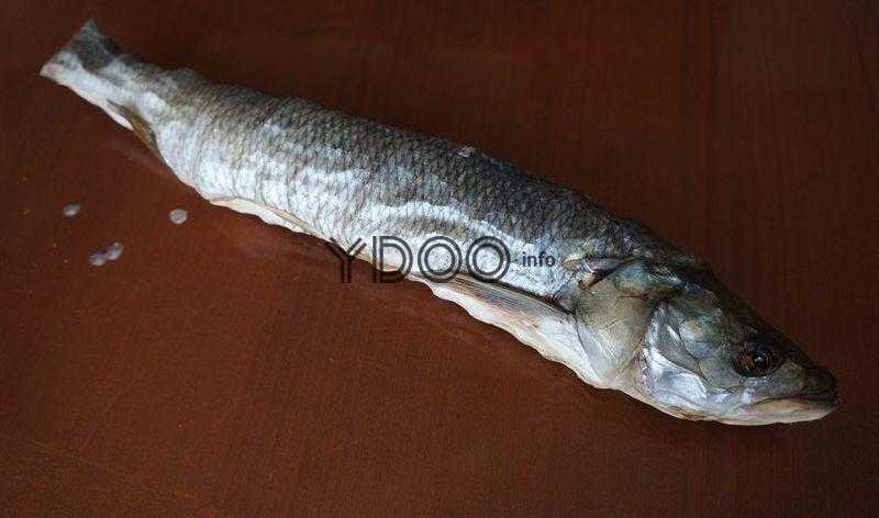 ✅ вяленый жерех - fishingopt.su