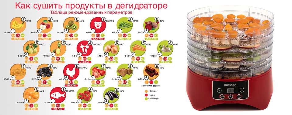 Приготовление пастилы в домашних условиях при помощи дегидратора: простые рецепты, тонкости приготовления, полезность, вред и калорийность, хранение