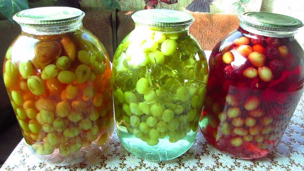 Компот из слив на зиму без стерилизации: приготовление напитка в банке