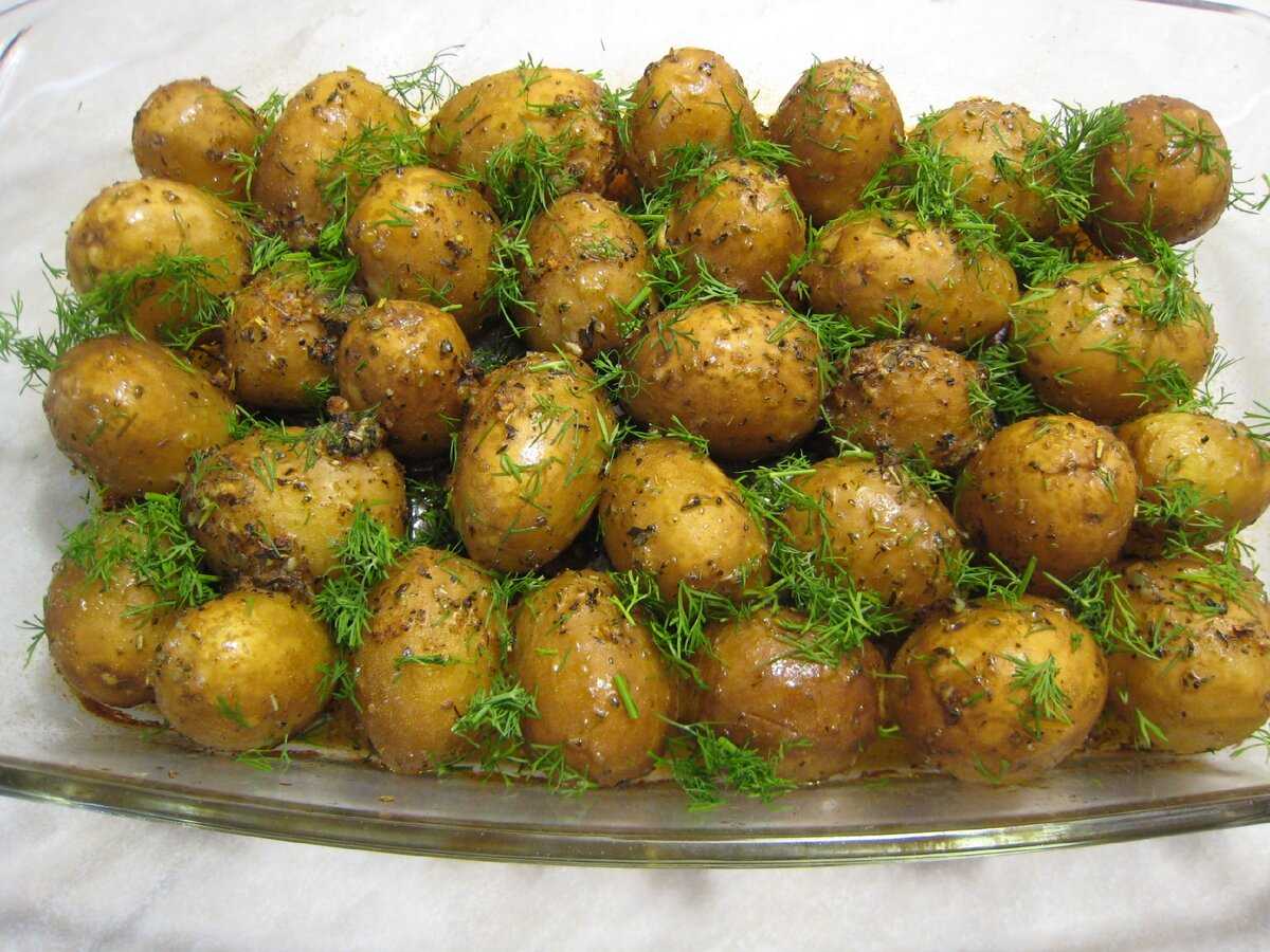 Запекаем в духовке вкусную молодую картошку — бесподобные рецепты