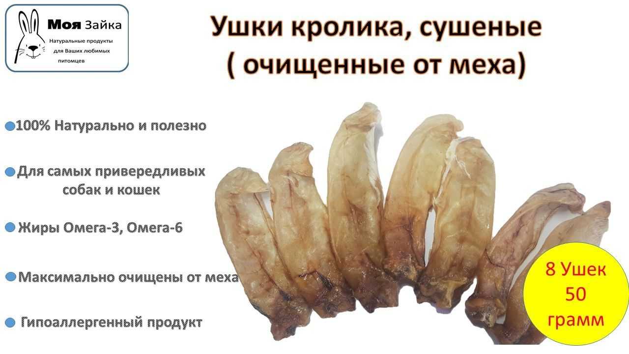 Три рецепта фаршированного кролика со всего мира