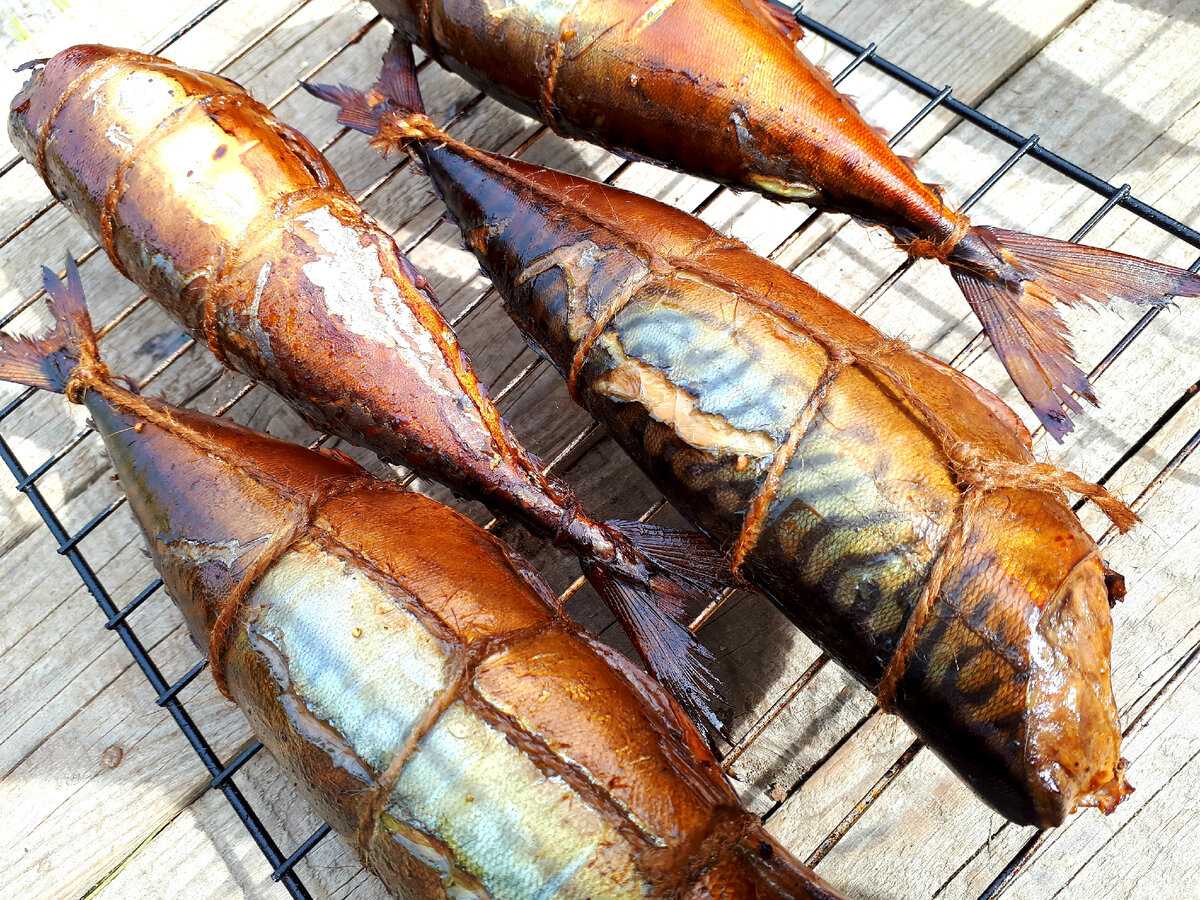 Как подготовить рыбу к копчению, чтобы было вкусно
