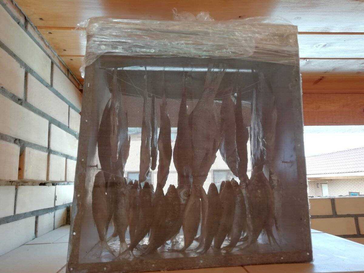 ✅ вяленая горбуша в домашних условиях - fish-hunt.net.ru