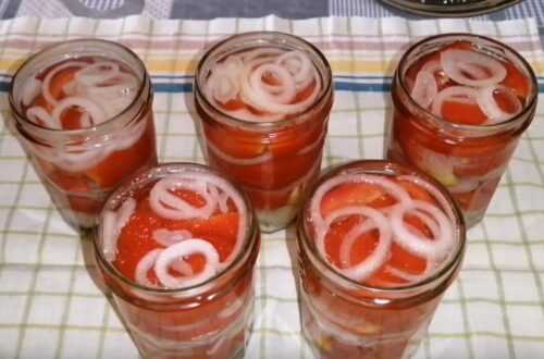 Салаты из помидоров на зиму — самые вкусные рецепты пальчики оближешь