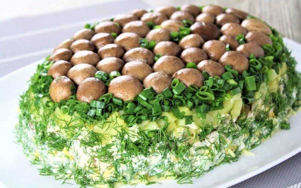 Салат лесная поляна — 9 рецептов простого и очень вкусного слоеного салата с курицей и грибами
