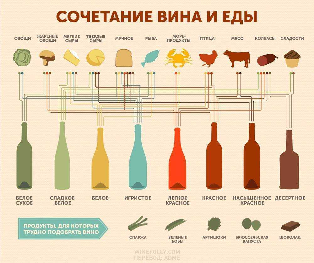 С чем пьют вино: что подают под белое, а что под красное?