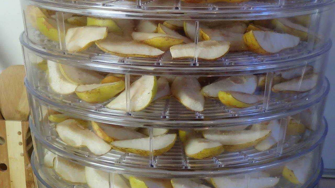 Сушеная дыня: польза и вред, как делают