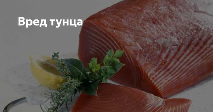 Польза тунца: полезные свойства, состав, вред, показания и противопоказания к применению (125 фото и видео)