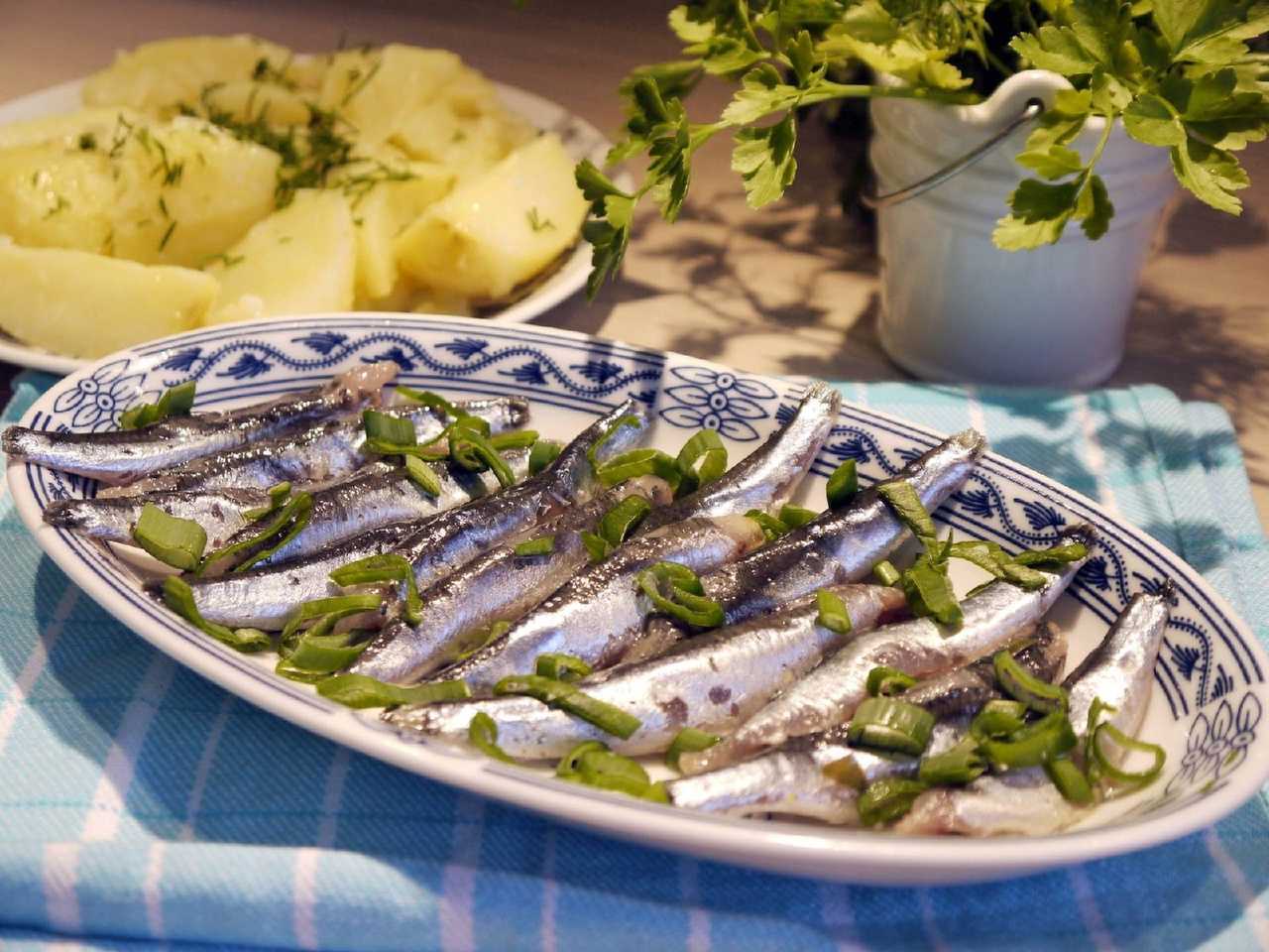 Сельдь сухого посола — 4 быстрых и очень вкусных рецепта в домашних условиях