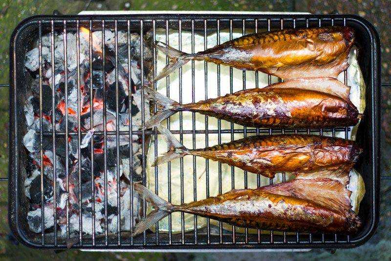 Как подготовить рыбу к копчению, чтобы было вкусно