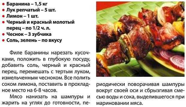 Шашлык по-карски: правильное мясо, нужный маринад, технология приготовления. шашлык по-карски из свинины