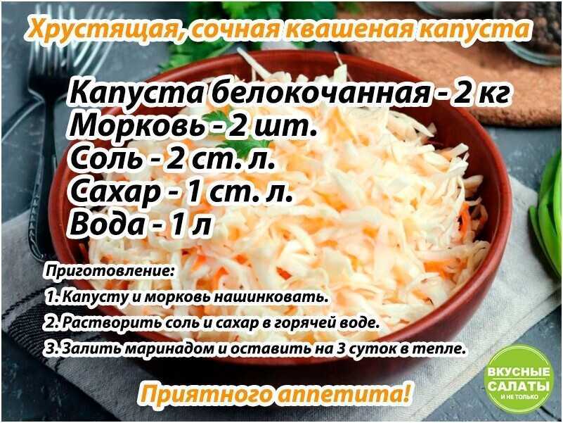 Капуста по-немецки — квашеная и тушеная: рецепты приготовления блюд с капустой