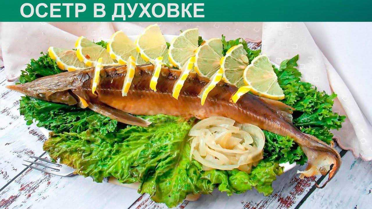 Осетр в духовке запеченный целиком: 6 лучших блюд