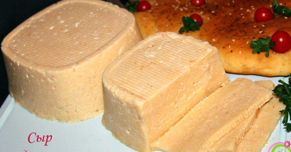 Как приготовить вкусный сыр – производство в домашних условиях