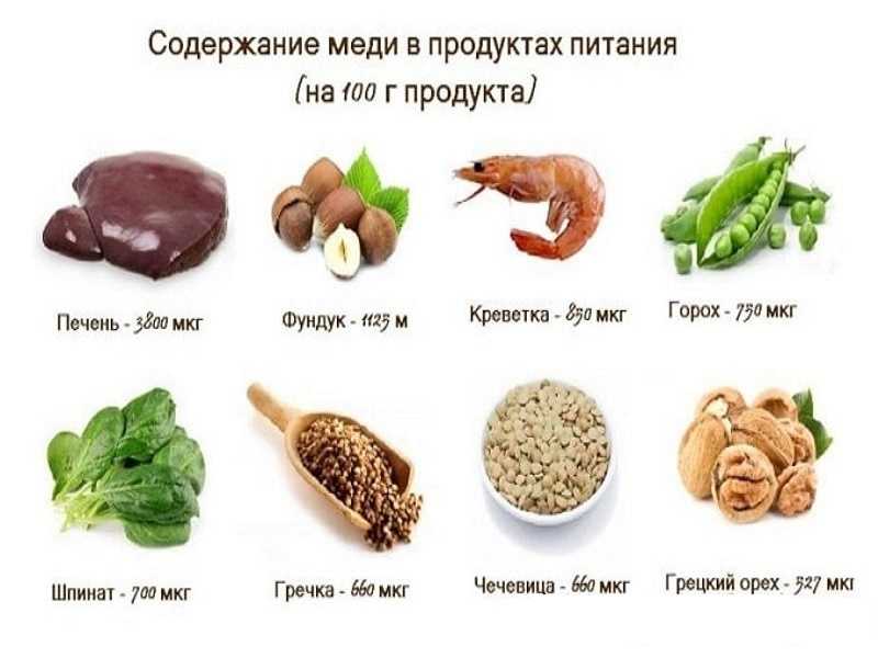 Таурин для кошек: что это, вред и польза, в каких продуктах содержится