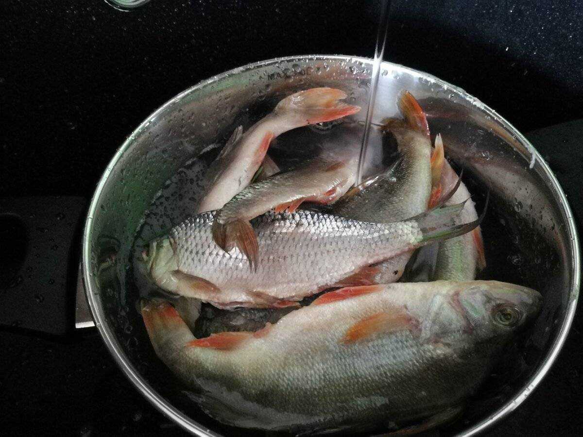 Как вялить рыбу
