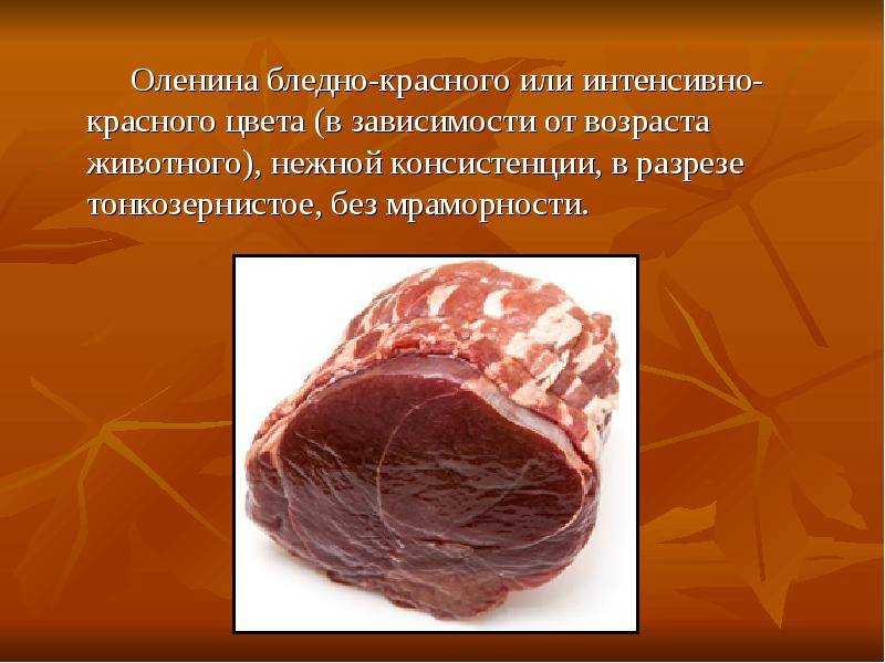Как вялить мясо в домашних условиях правильно: рецепт и советы