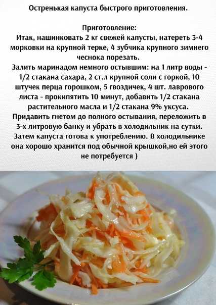 Капуста маринованная быстрого приготовления: рецепт "вкусная и диетичная"