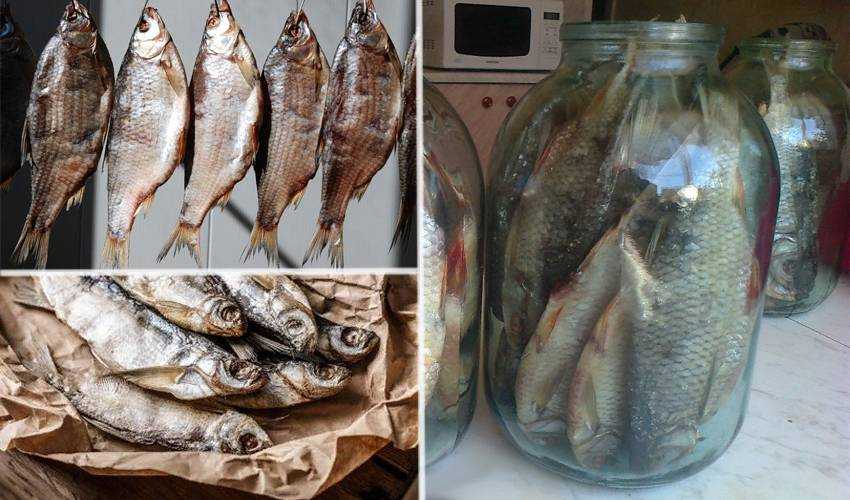 Вяленая горбуша в домашних условиях: 5 рецептов приготовления