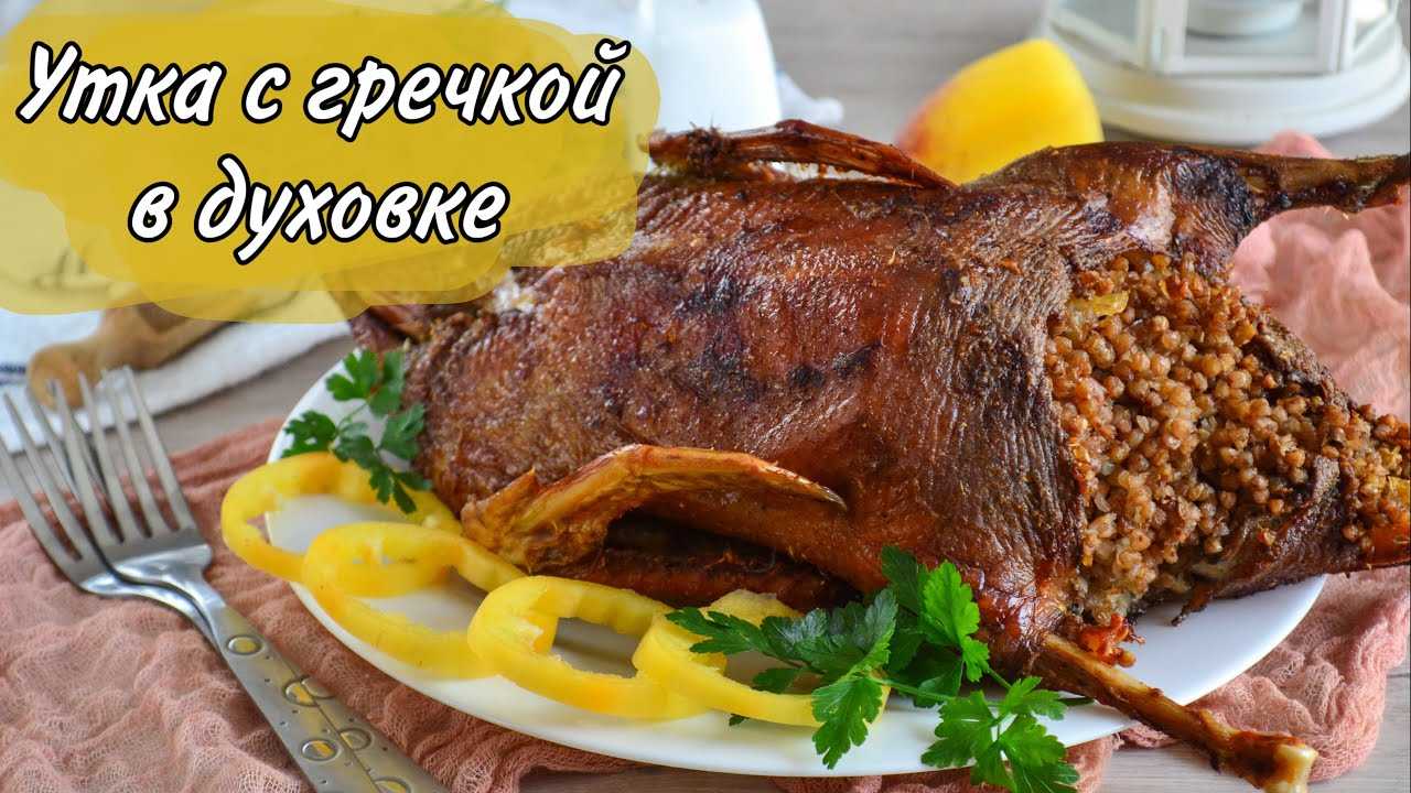В чем и как мариновать утку для запекания в духовке: 5 лучших маринадов | черпачок