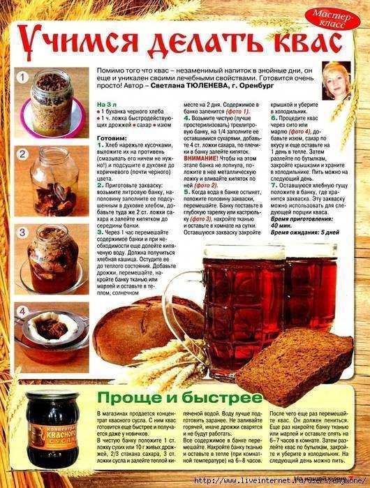 Как сделать хлебный квас в домашних условиях? 5 пошаговых рецептов кваса из хлеба