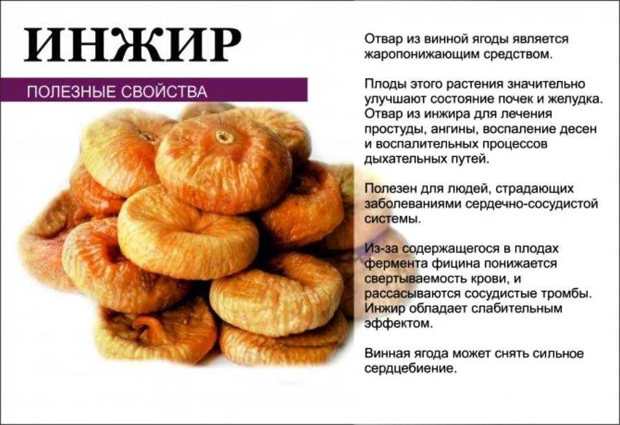Инжир сушеный: полезные свойства и состав, употребление и хранение, калорийность и противопоказания