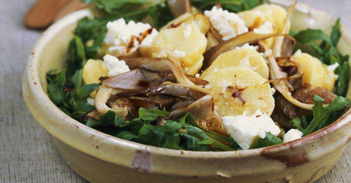 Салат из вешенок, куриного мяса, яиц и огурцов - энциклопедия грибов - грибы с фото и описанием