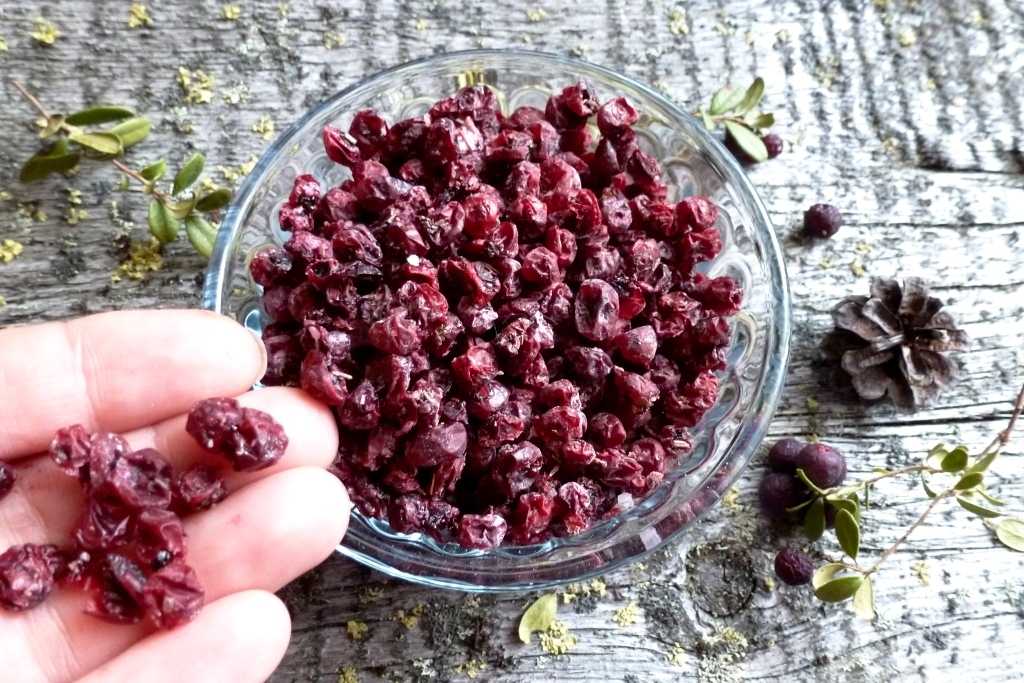 Вяленая клюква рецепт в сушилке для овощей