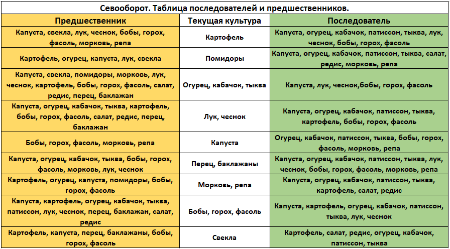 Соленые огурцы на зиму — рецепты хрустящих огурцов в банках для хранения в квартире