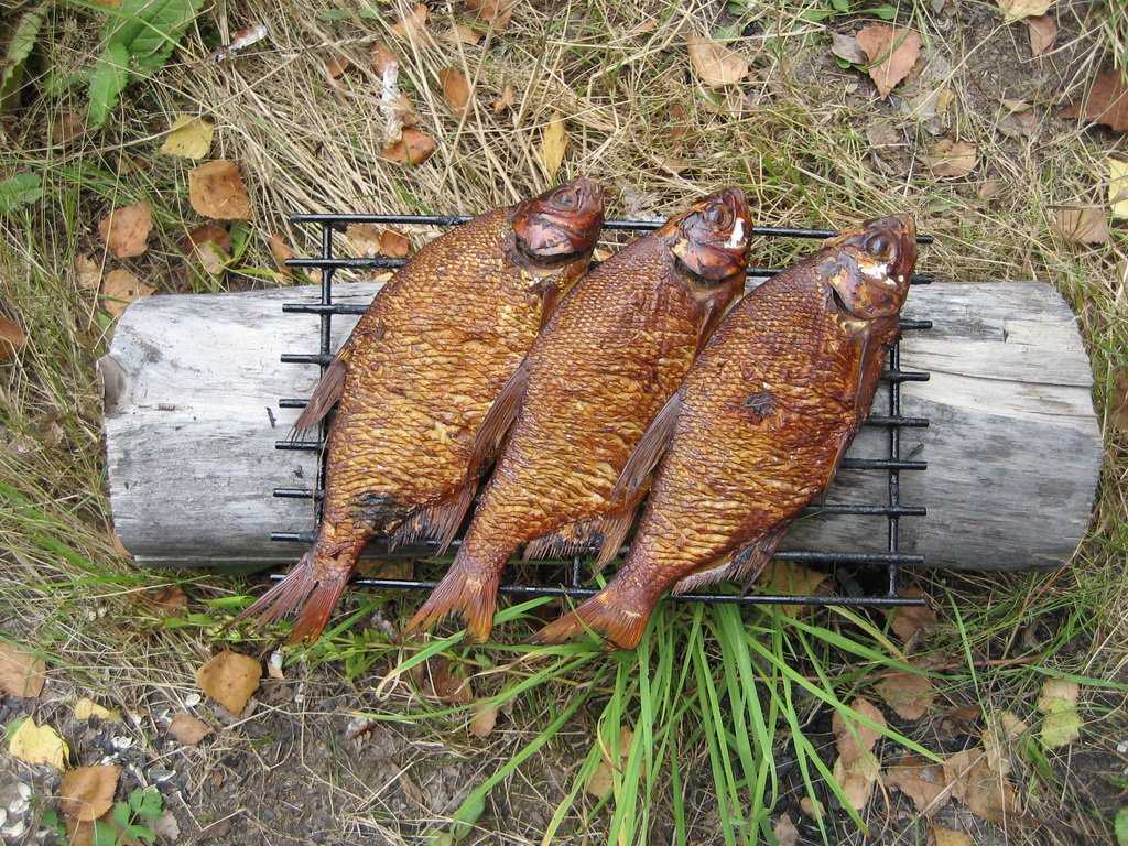 Горячее и холодное копчение рыбы в домашних условиях