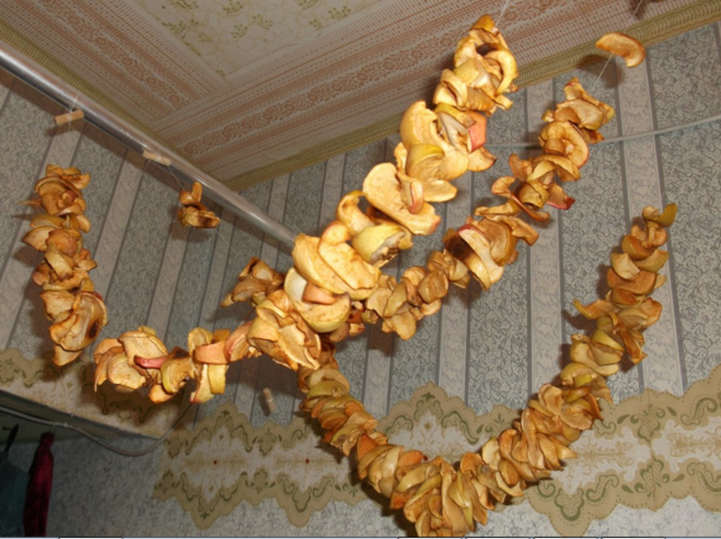 Сушка груш в газовой духовке, электросушилке, на солнце