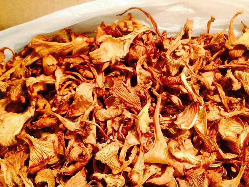 Сушеные лисички: способы сушки, первые и вторые блюда, вкусные рецепты