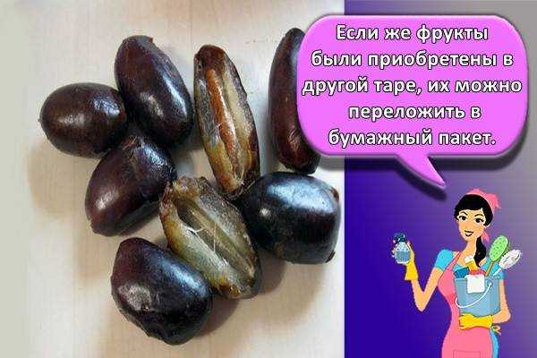 Финики сушеные: состав, польза для организма и противопоказания, как выбрать полезные плоды