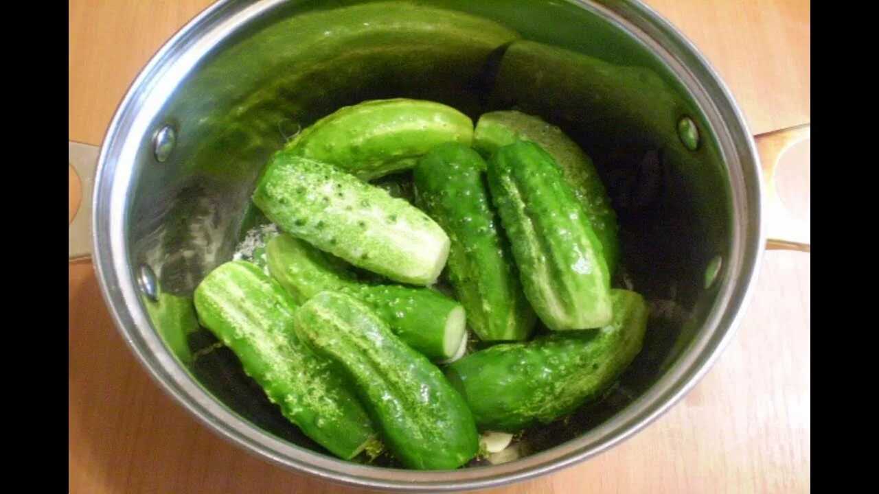 Малосольные огурцы в банке: 6 рецептов как засолить вкусные и хрустящие огурцы