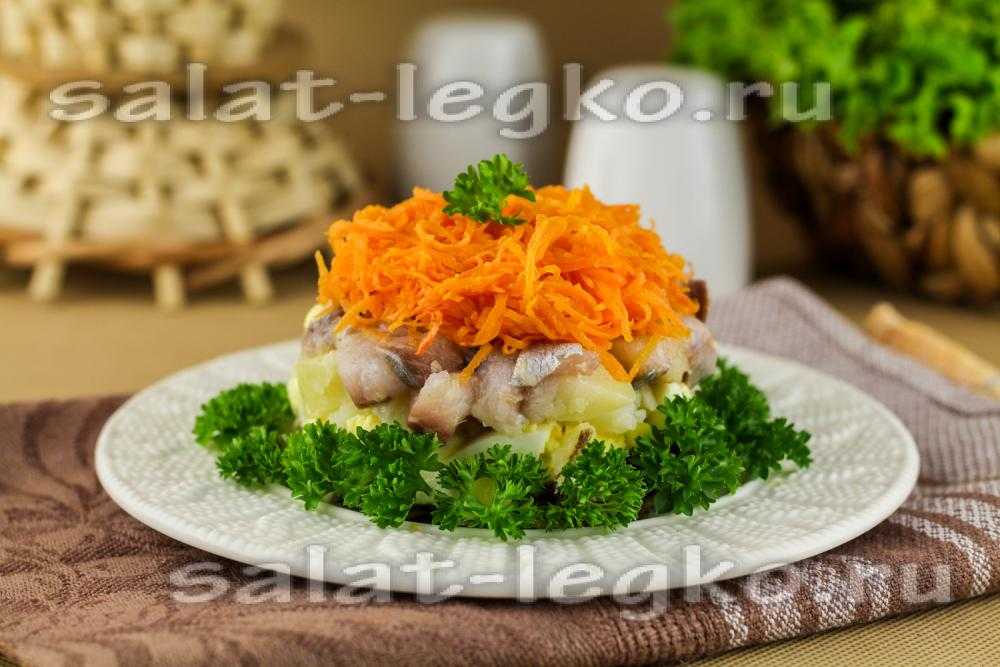 Селёдка под шубой — 6 классических рецептов селедки под шубой