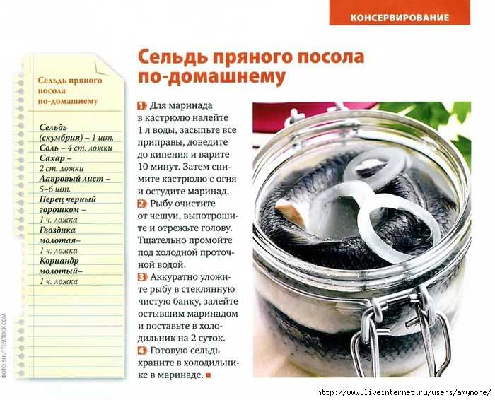 Скумбрия малосольная в домашних условиях — очень вкусные рецепты приготовления