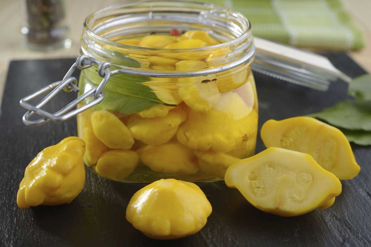 Патиссоны на зиму: лучшие рецепты салата и маринованных патиссонов – вкусно, просто пальчики оближешь